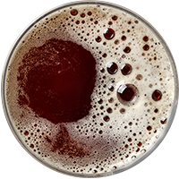 https://www.agriturismolapace.com/wp-content/uploads/2017/05/beer_transparent_02.png