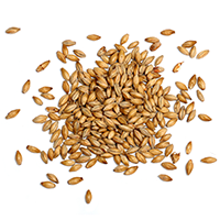 https://www.agriturismolapace.com/wp-content/uploads/2017/05/ingredients_transparent_03.png